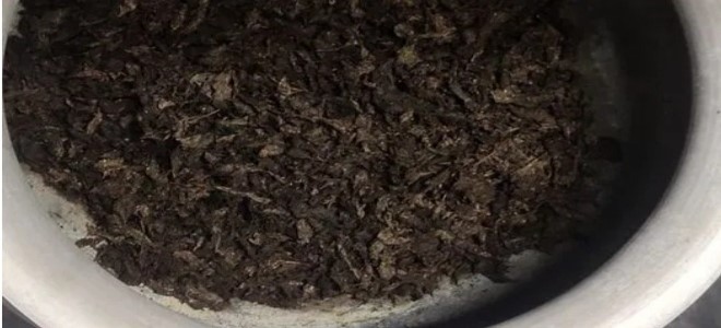গাজা সহ এক নারী আটক
