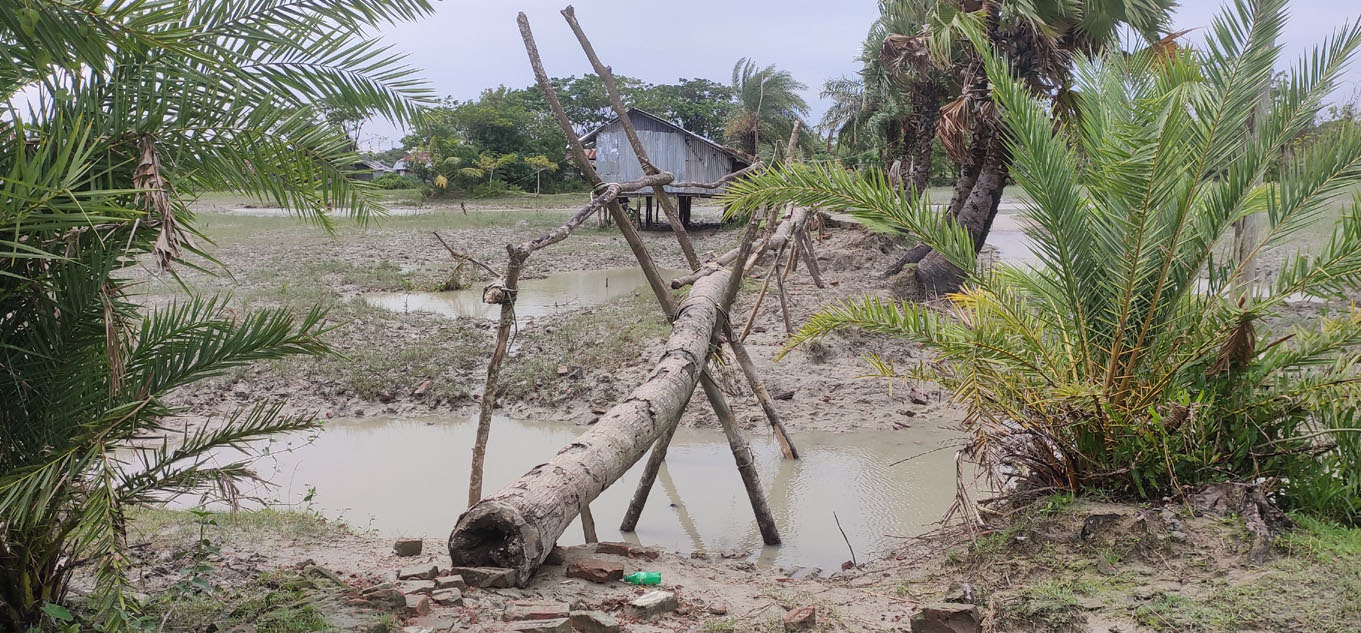 বেড়িবাঁধের