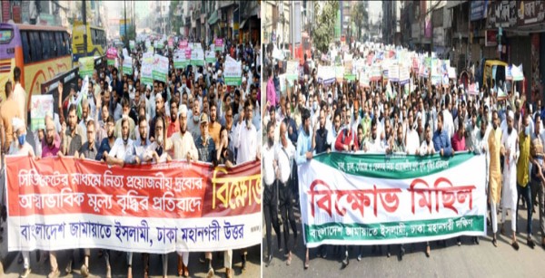 দেশে নিরব দুর্ভিক্ষ শুরু হয়েছে : ড. রেজাউল করিম