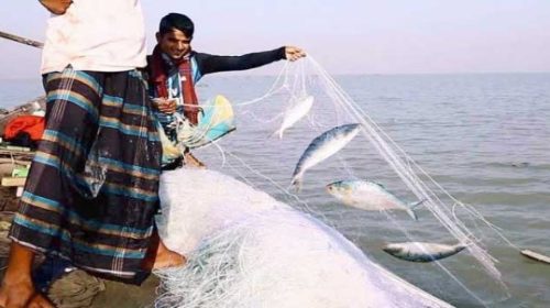 ৭ থেকে ২৮ অক্টোবর ইলিশ ধরা নিষিদ্ধ