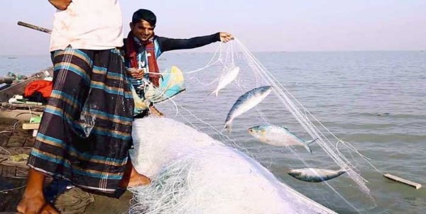 ৭ থেকে ২৮ অক্টোবর ইলিশ ধরা নিষিদ্ধ