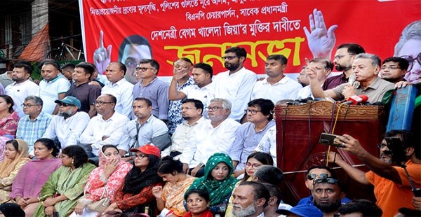 এটা বিএনপির একার আন্দোলন নয় দেশ বাঁচানোর আন্দোলন।আমীর খসরু