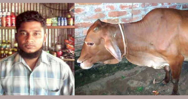 গরু চুরির ঘটনায় গ্রেফতার যুবলীগ নেতা বহিষ্কার