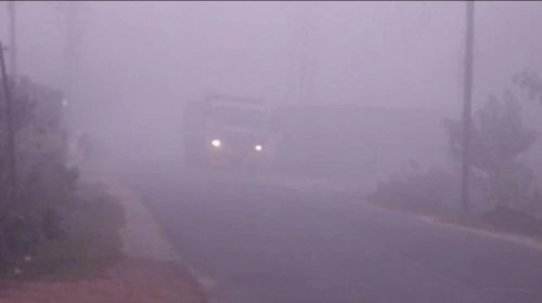 কুয়াশা কেটে বাড়বে দিনের তাপমাত্রা