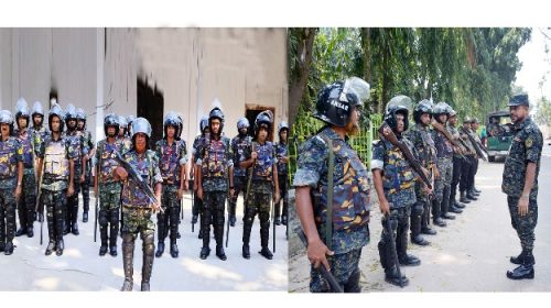 আনসার ও ভিডিপি